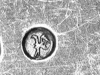 11686_C.bmp; 11686; Vlalepel; vlalepel