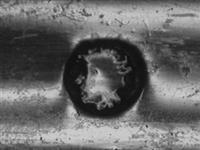11930.2_A.bmp; 11930.01=02; ; groentelepel