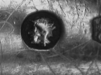 11939_A.bmp; 11939; ; sauslepel