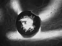11952_A.bmp; 11952; ; klontjestang