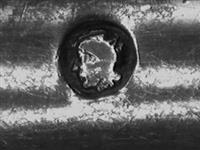 11954_A.bmp; 11954; Vlalepel; vlalepel