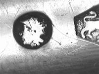 11955.1_A.bmp; 11955.01; Vleesvork; vleesvork