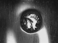 11965.2_A.bmp; 11965.02; ; eierlepel