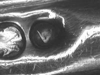 12758_C.jpg; 12758; ; kaasschaaf