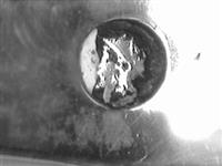 13169_A.bmp; 13169; ; taartschep
