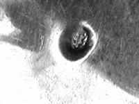 13246_B.bmp; 13246; ; rouwbroche