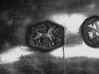 13576_B.bmp; 13576; Suikerstrooilepel; suikerstrooilepel