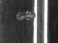 13590.2_1.bmp; 13590.02; ; avondmaalskan
