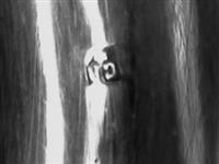 13612_2.bmp; 13612; Flessenbak; flessenbak