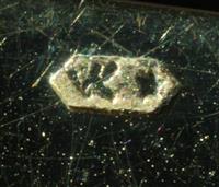 13616.1_D.jpg; 13616; ; brillenkoker
