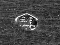 13619_B.bmp; 13619; ; broodmand