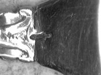13633_1.bmp; 13633; ; amandelschep