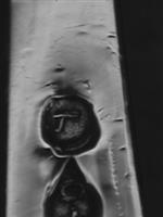 13639_C.bmp; 13639; Zilveren bonbonlepel; bonbonlepel