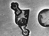 13647_B.bmp; 13647; Fruitschaal; fruitschaal