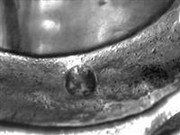 13664_2.bmp; 13664; ; koffiepot