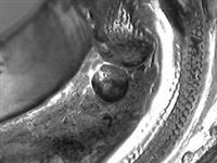 13664_3.bmp; 13664; ; koffiepot