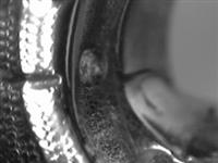 13664_5.bmp; 13664; ; koffiepot