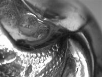 13664_6.bmp; 13664; ; koffiepot