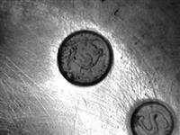 13707_A.bmp; 13707; ; beker