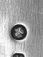 13725_A.bmp; 13725; Pennnenbak; pennenbak
