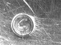 13732_C.bmp; 13732; ; koffiekan