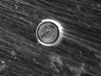 13734_C.bmp; 13734; ; koekjesschaal