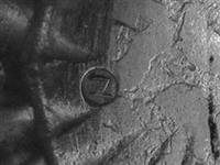 13743.2_C.bmp; 13743.02; ; melkkan