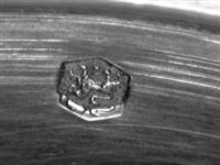 13869_B2.bmp; 13869; Zilveren fruitschaal model CE2; fruitschaal