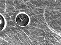 13880_C.bmp; 13880; ; schaal
