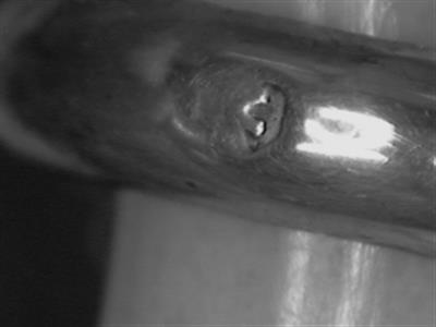 13905_D.bmp; 13905; ; rammelaar