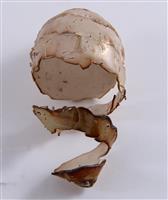 13977.11-02.jpg; 13977.11; Pièces de milieu. Tafelstillevens; middenstuk