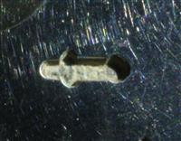 14071.1_B.jpg; 14071; Mokkalepel met geëmailleerde steel; mokkalepel