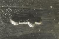 15066.1_B.jpg; 15066; Ring; ring