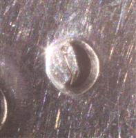 20bd3e41-ccc2-492c-8e83-85c7b9f55fc4.jpg; 15031; Geboortelepel; geboortelepel