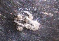 3dc41786-57ca-434b-8986-a1f53b762fbb.jpg; 15041; Geboortelepel; geboortelepel