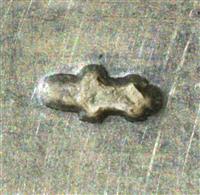 40144.1_B3.jpg; 40144; Truffelschaaf; truffelschaaf