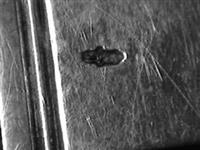 40146_1.bmp; 40146; Aspergetang; aspergetang