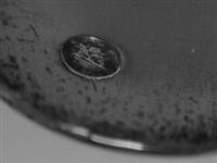 40146_A2.bmp; 40146; Aspergetang; aspergetang