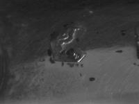 40146_B2.bmp; 40146; Aspergetang; aspergetang