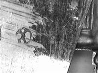40167.2a_A.jpg; 40167.02; ; bijbelslot