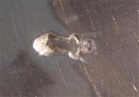 4d33bbee-fa73-4a3e-a24f-7d5b3b5e415e.jpg; 14775.01; Zilveren confiturelepel; confiturelepel