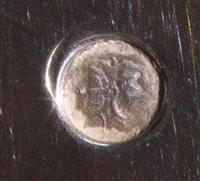 57f181e8-a296-4b24-8bcc-adaa5bc4be0b.jpg; 13441; Schaal; schaal