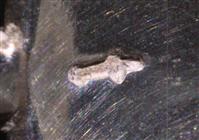 97f9a8bd-64af-4957-b552-a45d38d4c6a6.jpg; 10746.06; Kwastlepel; kwastlepel